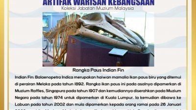 鲸鱼骨架被列为国家遗产文物。