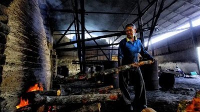 有的人认为炭窑薰木炭是夕阳行业，惟庄白祺认为这个行业仍具潜能，充满契机与商机，可以探讨开发更多产品，促进地方上的经济。