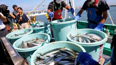日本渔民在福岛县相马市的港口，卸下捕捞到的海鲜。（图取自日本时事通讯社/法新社）