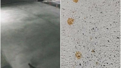 一只猫咪在日本广岛县福山市一间工厂内，不小心掉入化学槽后逃脱，在地上留下黄色脚印。（图取自网络）