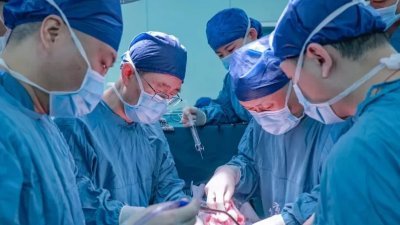中国科学家完成“基因编辑猪-人”异种肝脏移植。（图取自“空军军医大学”微信公众号）