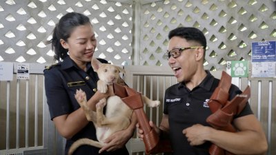 新加坡民防部队将使用多年的消防水带改造成狗狗的玩具。（图：新加坡民防部队）