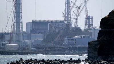 从福岛县二叶町海岸看到的日本东京电力公司的福岛第一核电站。（法新社档案照）