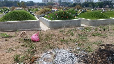 零星民众趁著周末来到义山进行祭祖活动，但记者也发现在一些墓地周边，还可以看到散落的垃圾。