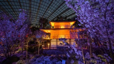 京都标志性建筑金阁寺的模型占据樱花展最中心位置。