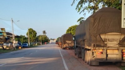 载送油棕仁渣的多辆罗里停放在路边。