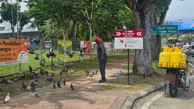 男子喂养鸽子，遭槟岛市政厅执法人员现场逮获，并发出250令吉罚单。（照片由槟岛市政厅提供）