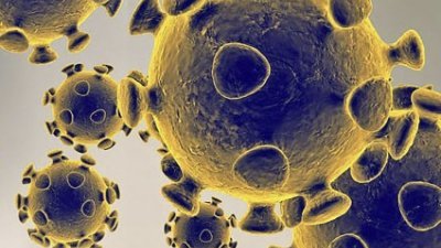 【新冠肺炎】南非出现致命性变种病毒？　卫生部称纯属谣言