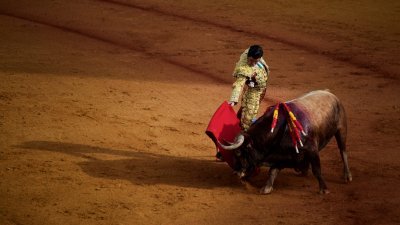 西班牙斗牛士在塞维利亚斗牛广场进行的斗牛表演。（法新社档案照）