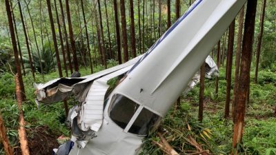 小型飞机宋溪园坵坠毁　2男女受伤
