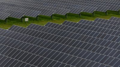 图为位于美国加州里士满一个太阳能发电厂的太阳能板。（图取自法新社）