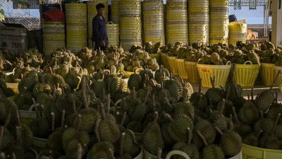 泰国东部尖竹汶府Noen Sung水果批发市场的榴梿。（图取自法新社）