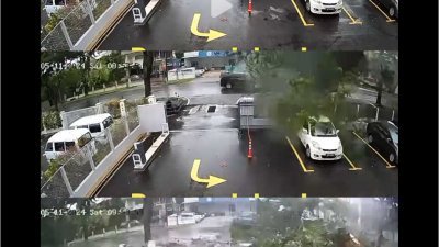 昨早槟岛中路一棵大树倒下砸中轿车事故，刚好被邻近的闭路电视拍摄下来，还原事发过程。