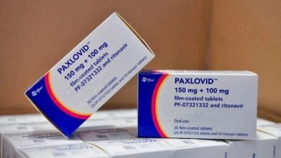 图为新冠口服药物Paxlovid。（图取自网络）