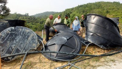 野象群早前闯入珠宝龙岗山一带，滋扰当地居民及园丘业者，并造成破坏。