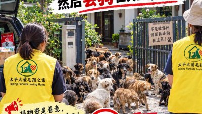 太平大爱毛孩之家疑遭人利用捐赠物资之名索取地址，义工住家却接连出现遭弃养的狗，至今已发生3次，因此，负责人叶玉芳无奈宣布，即日起不再提供邮寄物资地址。