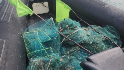 “蜈蚣网”的特殊设计会导致海里尚未发育成熟的小鱼、小虾以及其他海洋生物被“大小通吃”地受困其中，严重破坏海洋生物的多样性。