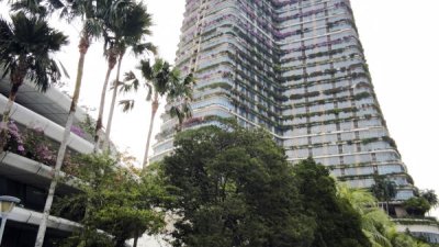 短短3个月内，连续有两个在森林城市设立“窝点”的诈骗集团被捣破。