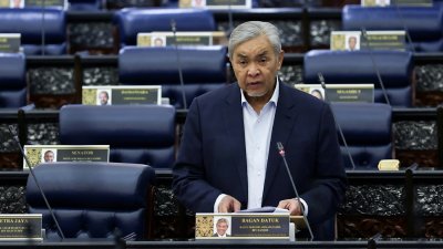 扎希：政府收集全国难民数据　加强监管临时居留情况