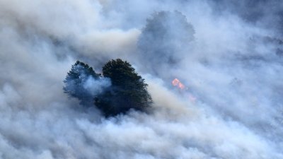 9月6日，法国大西洋岸比利牛斯省埃索镇附近发生野火，浓烟笼罩著树林。（图取自法新社）