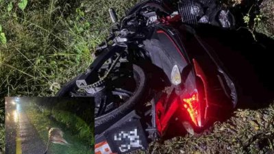 18岁男子昨晚于话望生-瓜拉吉赖路段第11公里处发生摩哆撞上一头牛的事故中不幸身亡。