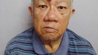 行动党后廊第一花园支部主席何碧凡