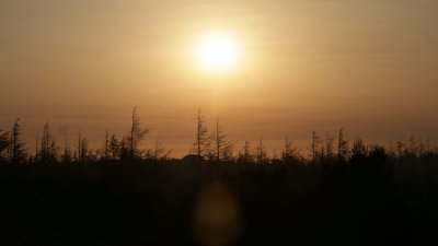 一项医学报告指出，气候变化不仅增加极端高温的强度和频率，也对全球经济造成沉重负担。（法新社档案照）