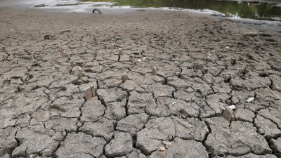 8月18日，在英国伦敦，霍洛池塘塘底大面积干涸龟裂。（图取自新华社）